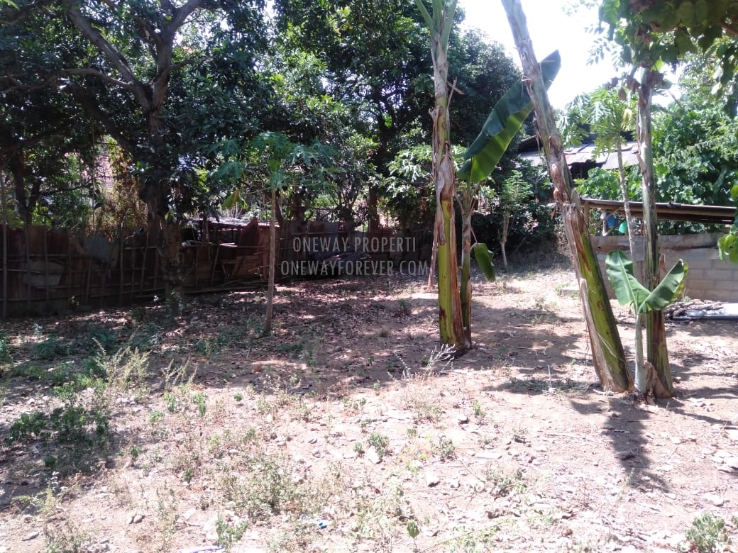 Tanah dijual di air terjun sekumpul Buleleng