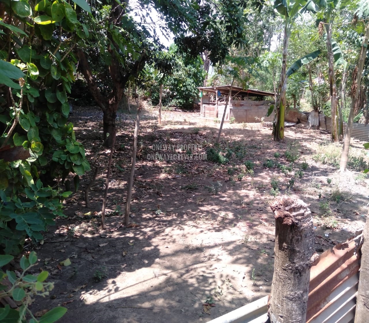 Tanah dijual di air terjun sekumpul Buleleng