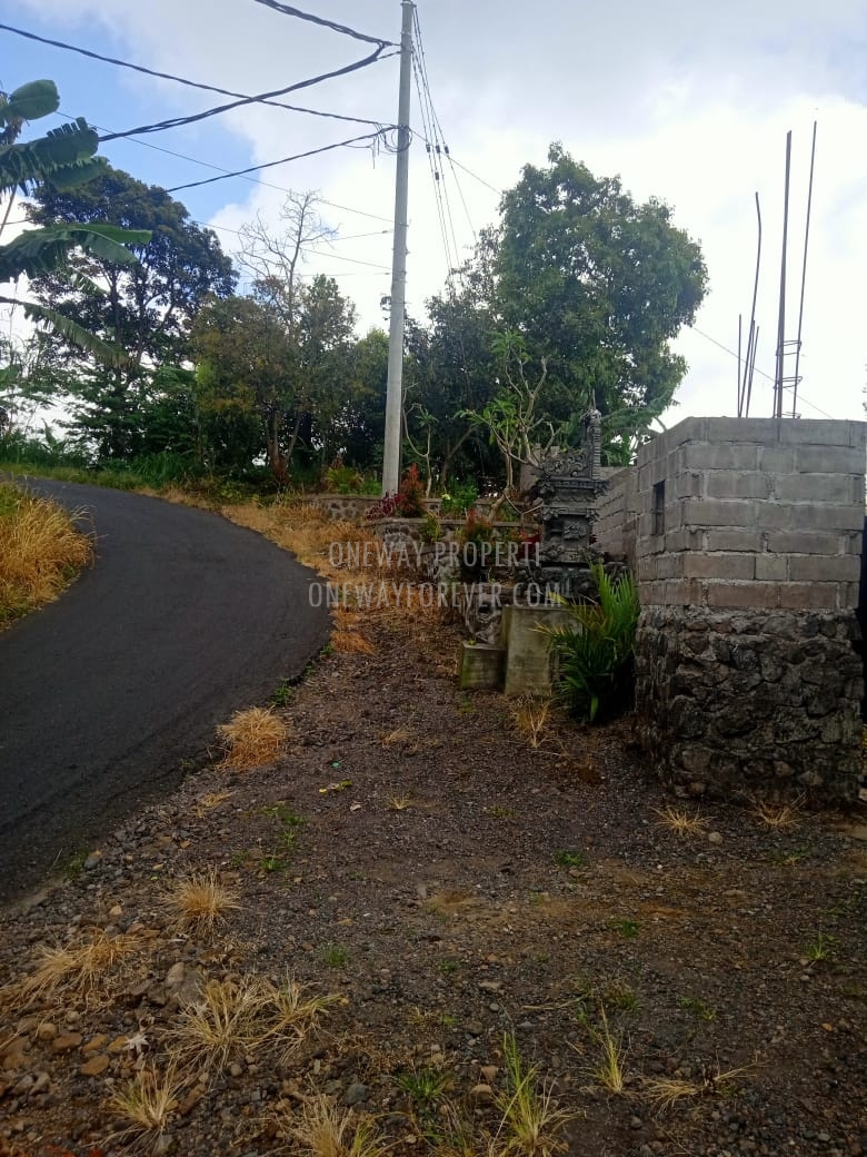 Tanah dijual di air terjun sekumpul Buleleng